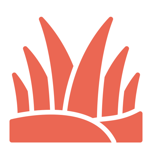 Private Garden / Terrace